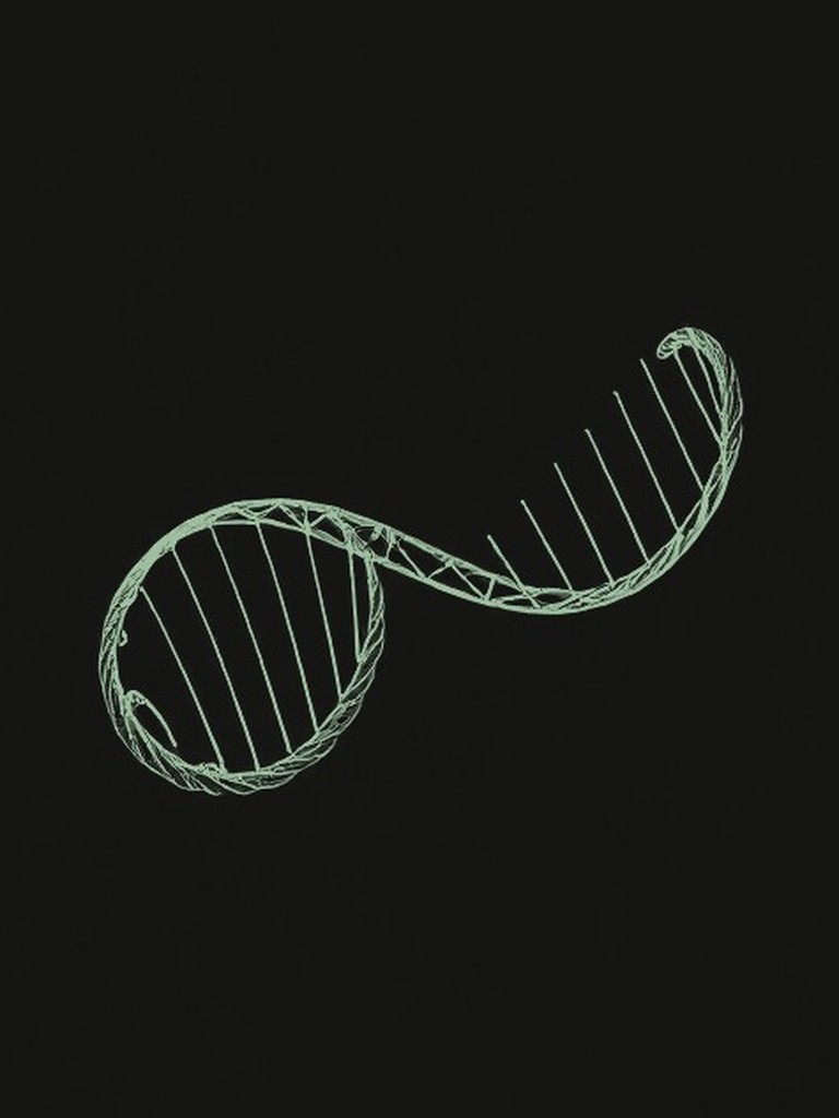 A minimal line illustration of a folded protein helix, drawn as a ribbon of fine parallel lines coiling through open space.